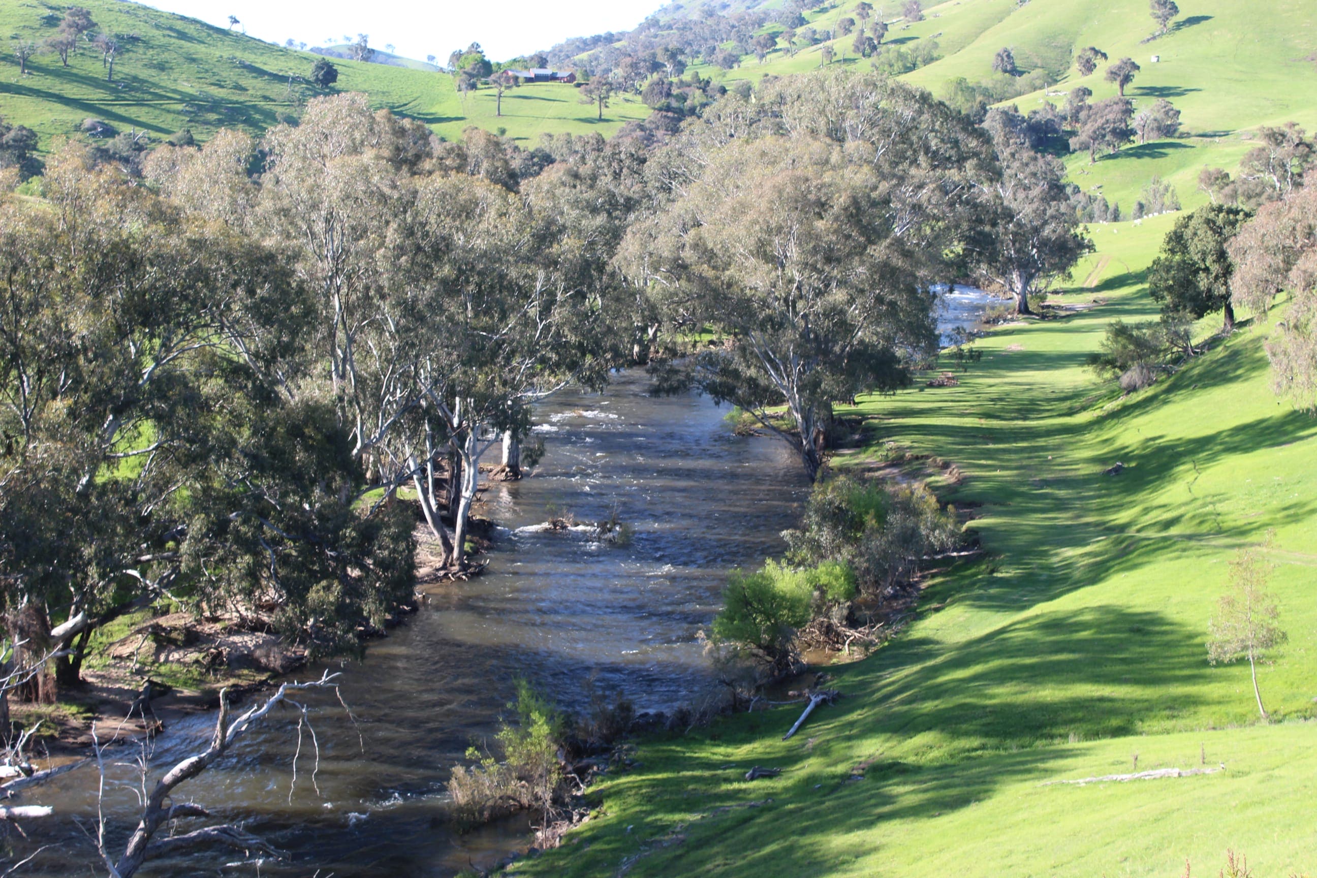 The Goobaragandra River winding through the valley at Elm Cottage