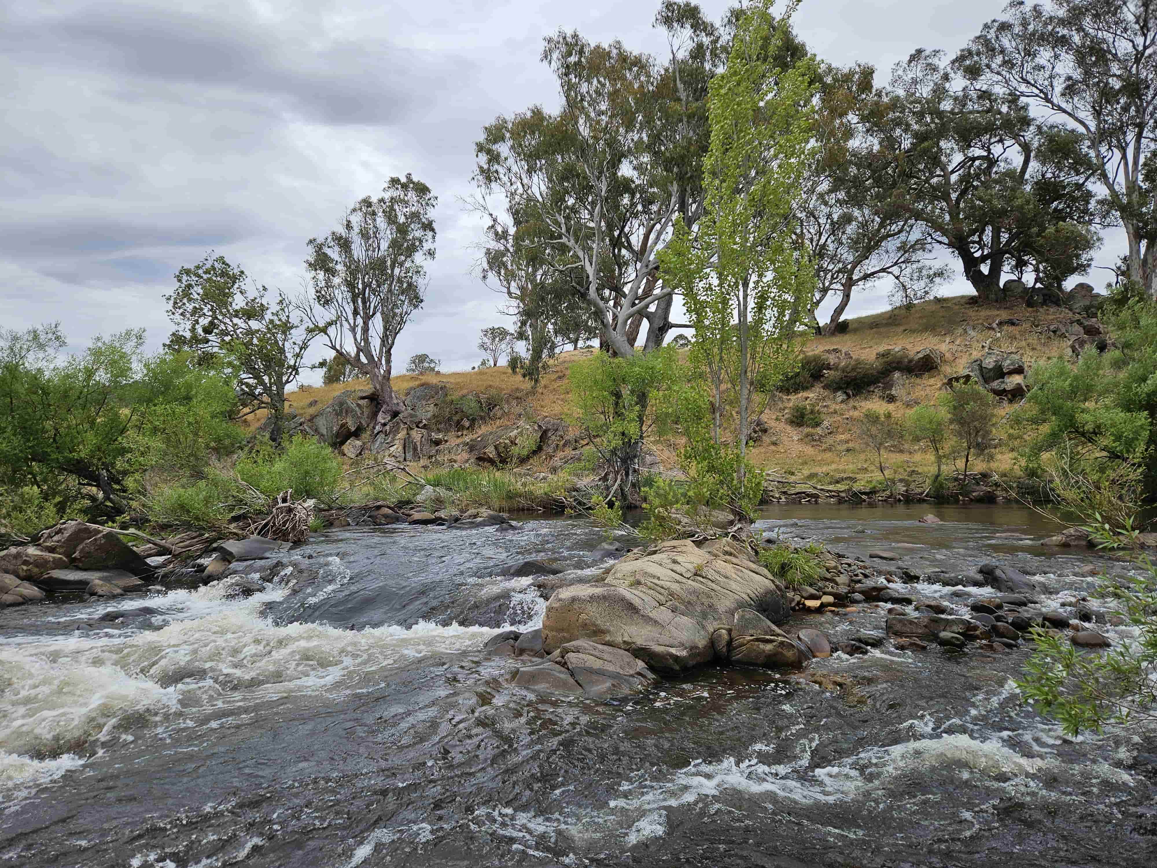 Rocky rapids on the river at Elm Cottage