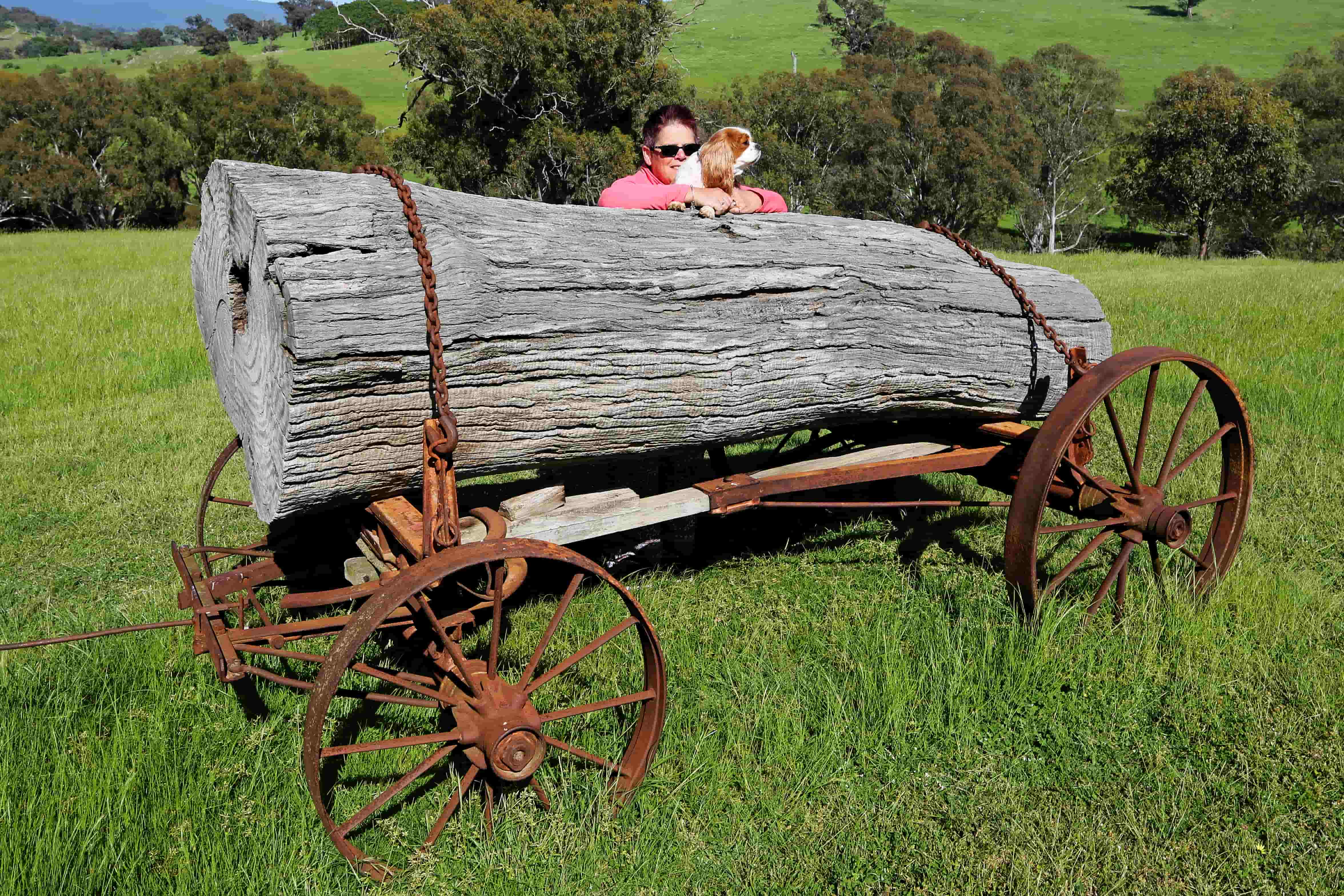 Log wagon sculpture with a dog sitting in the back