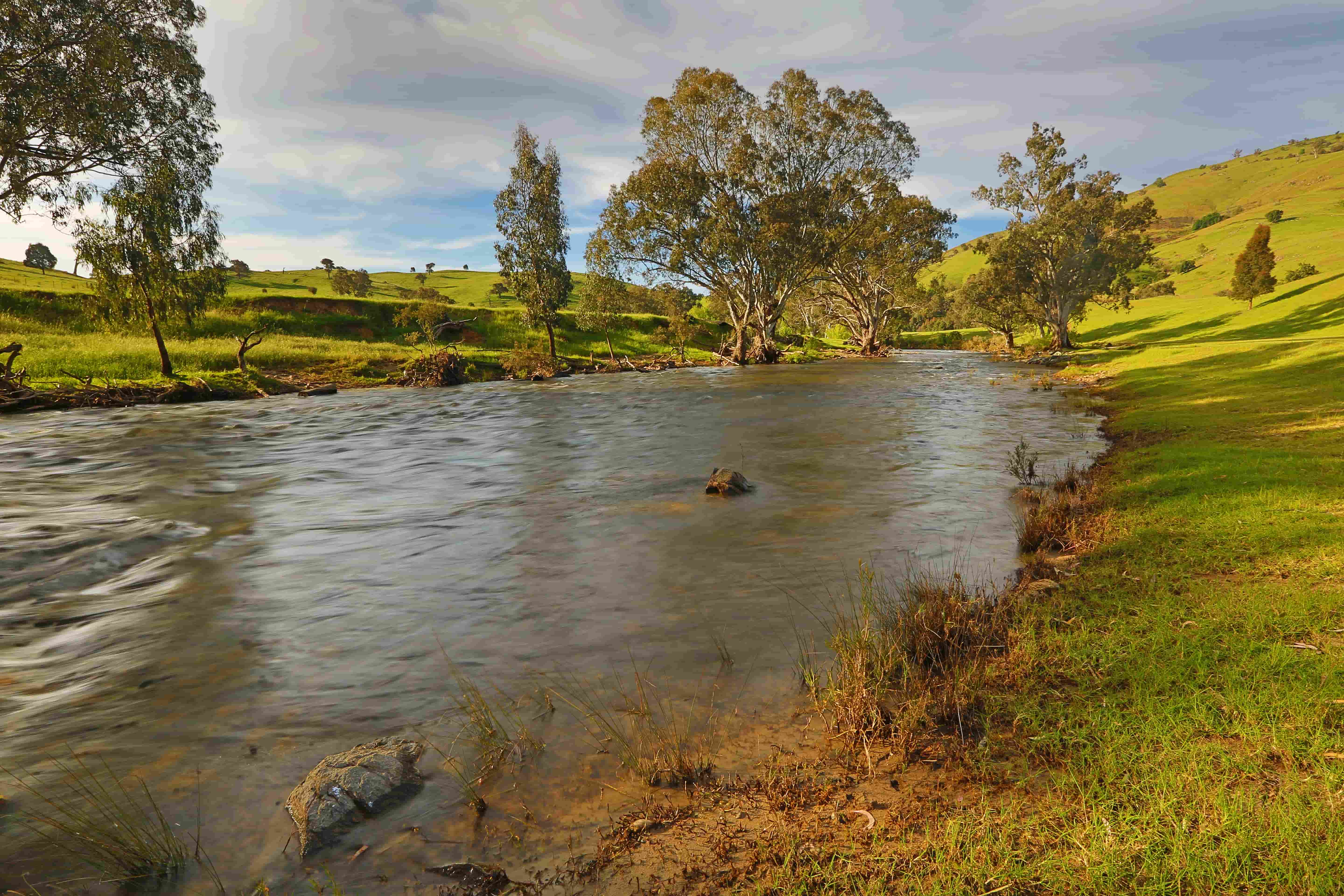 Grassy paddock sloping down to the Goobaragandra River at Elm Cottage