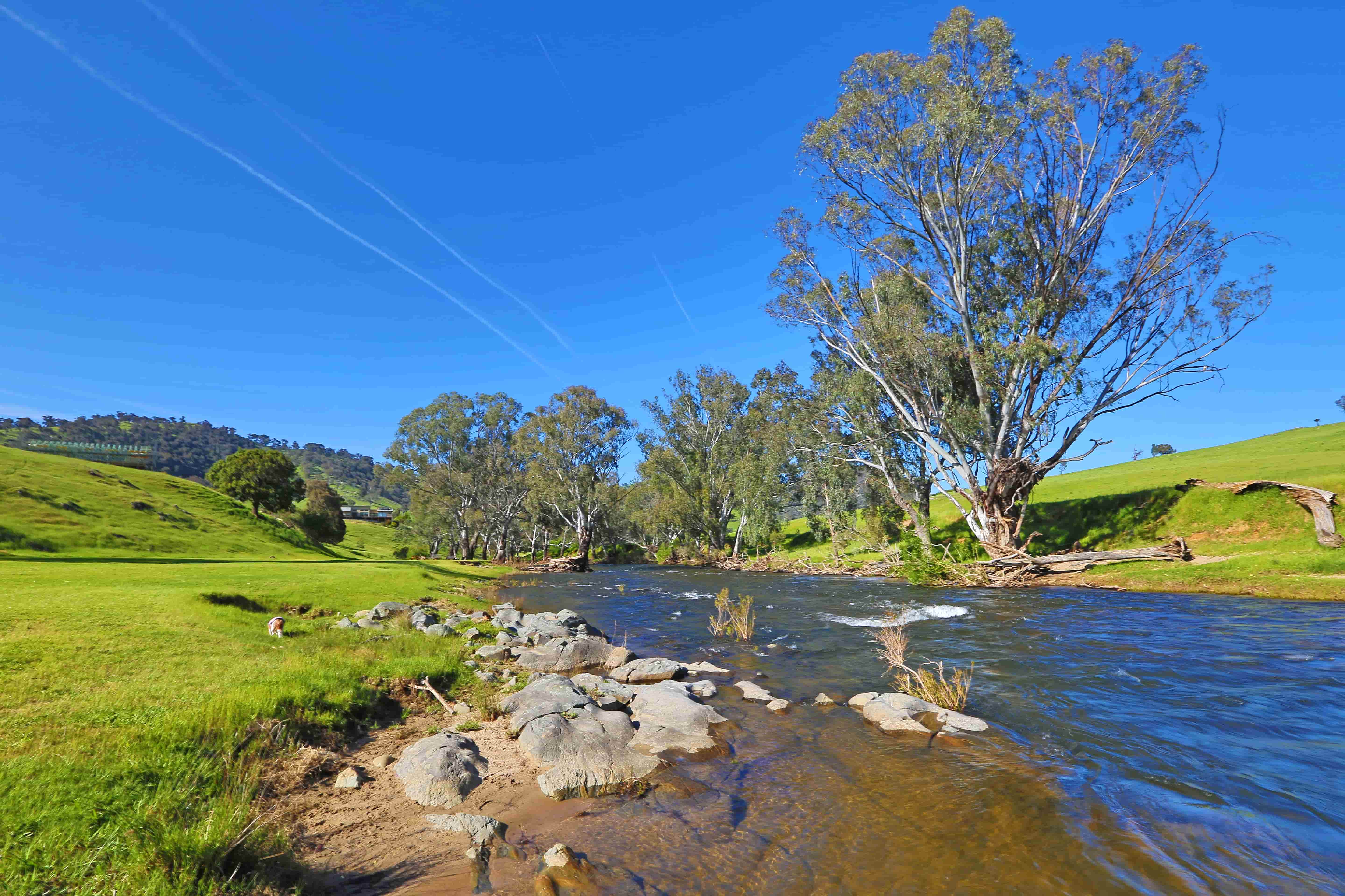 The Goobaragandra River at the edge of the Elm Cottage property