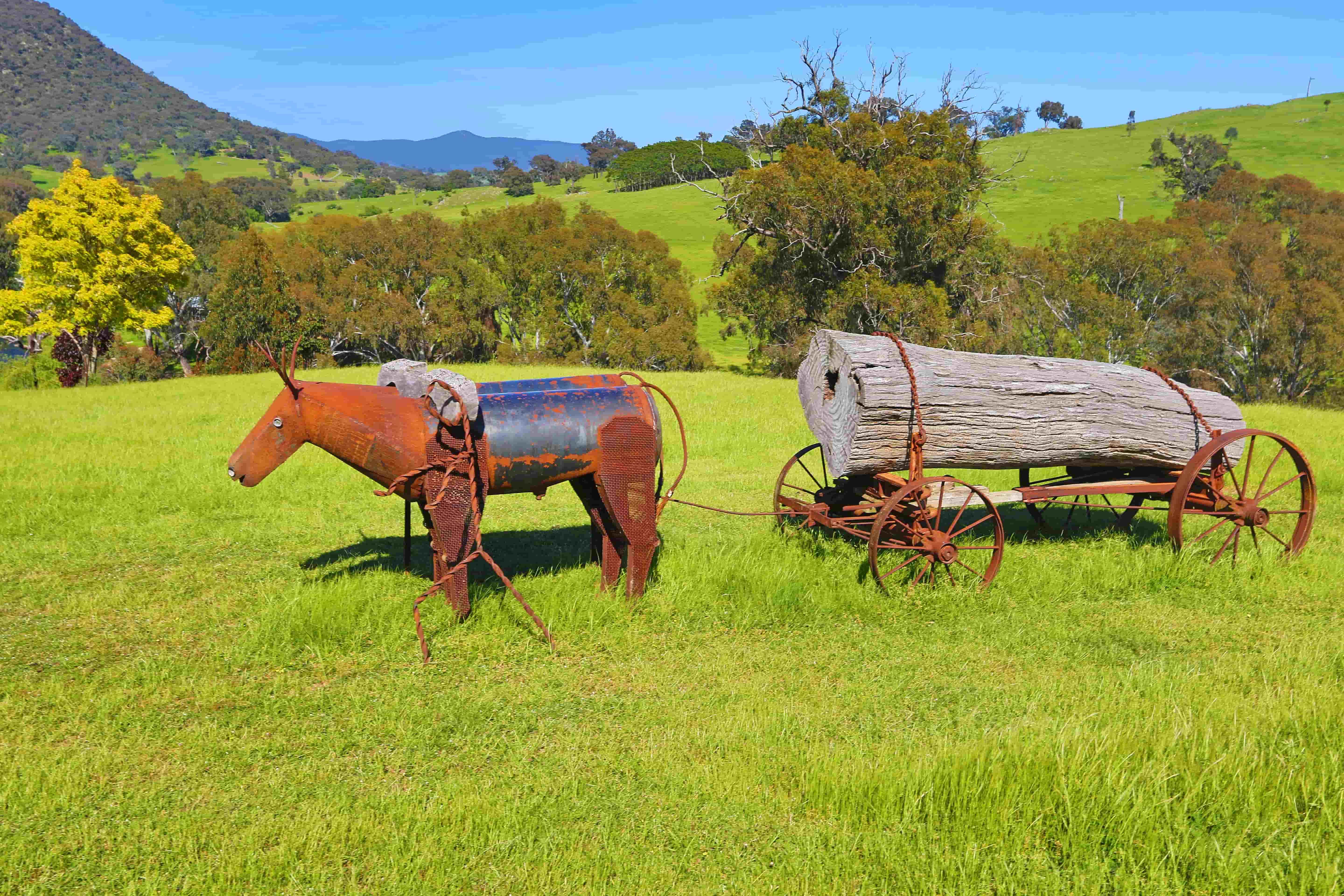 Rustic horse and log-wagon sculpture in the paddock at Elm Cottage