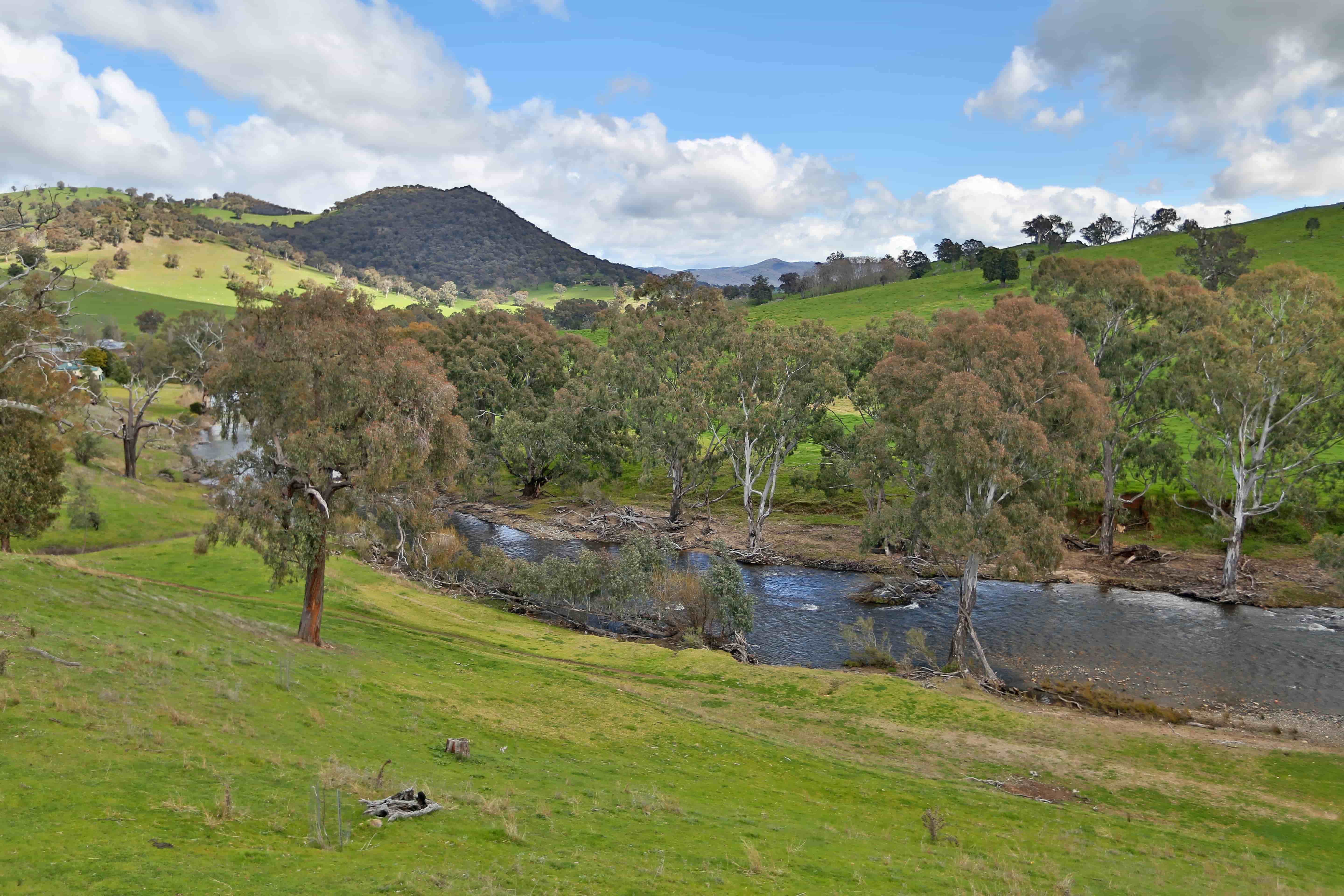 River view from the Yellow Box cottage balcony